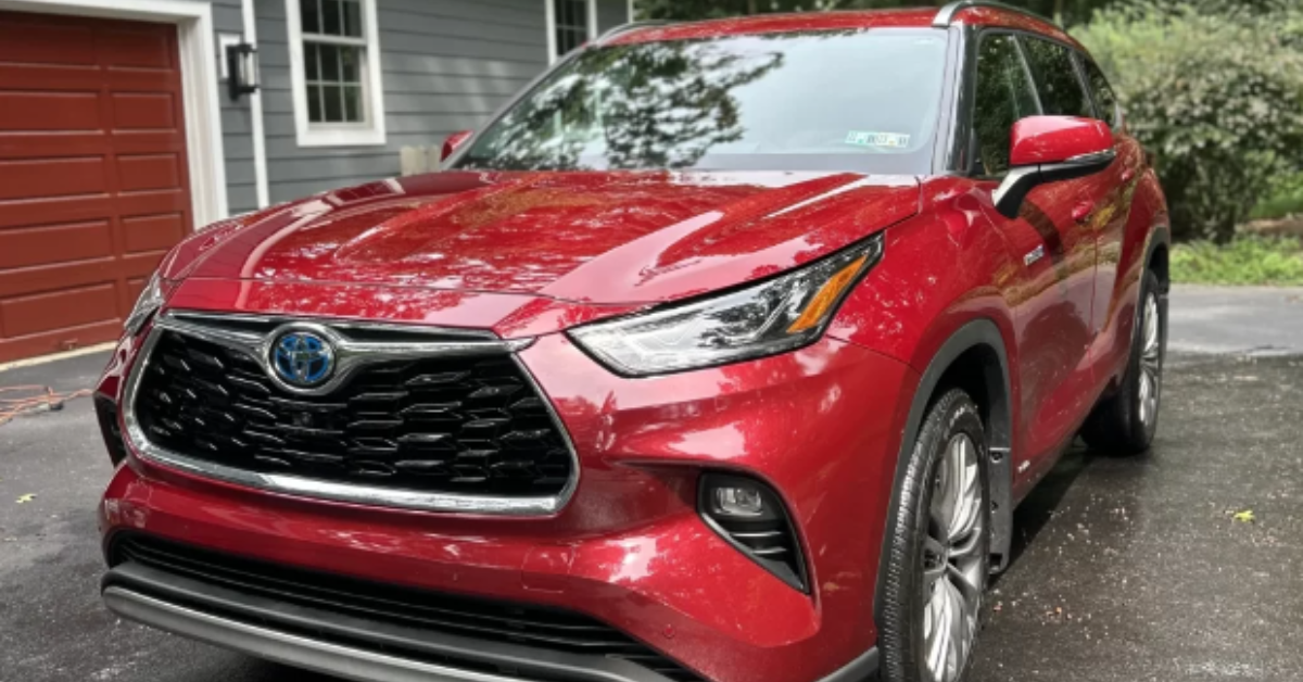 paint correction services