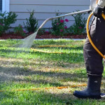 preventing-lawn-damage-top-insect-control-practices-in-indianapolis-in-ezgif.com-webp-to-jpg-converter.jpg