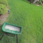 DIY vs. Professional Lawn Fertilization and Weed Control in Indianapolis.jpg