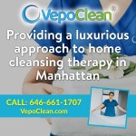 VepoClean-1200x1200-layout22-1gbfto1.jpg