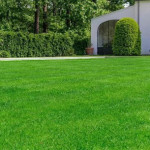 How to Easily Find Reliable Lawn Care in Indianapolis, IN for Year-round Beauty.jpg