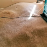 drying water damage
