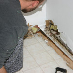 drywall water damage