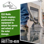 CLG Mold Xperts 3.jpg