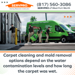 SERVPRO-of-WFF-0322-(6).png