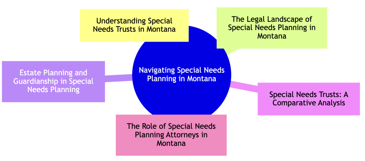 special needs planning