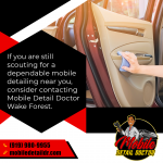 Mobile Detal Doctor Graphic 2 (1).png