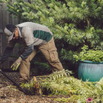 Omaha Landscaping Company