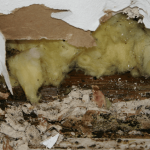 causes of water damage in Atlanta GA.png