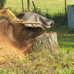 tree-stump-grinding.jpg