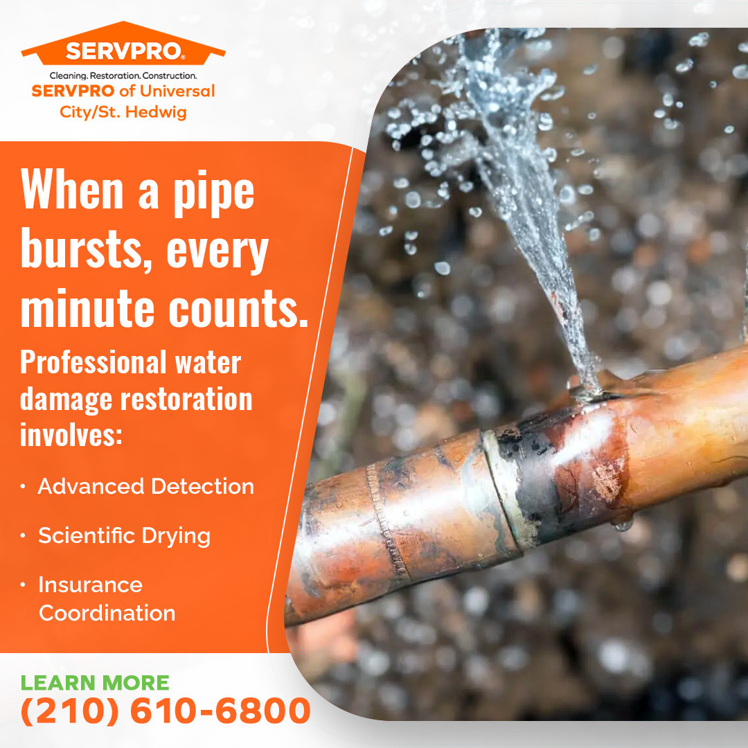 Professional water damage restoration