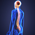 spine-health-1080x675.jpeg