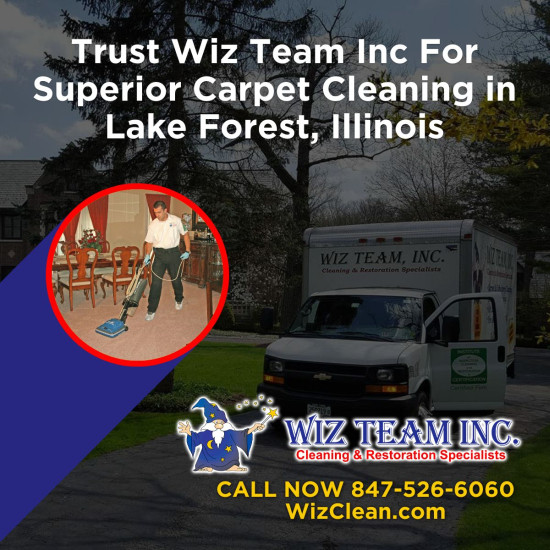 Expert Area Rug Cleaning Service Now in Lake Forest by Wiz Team