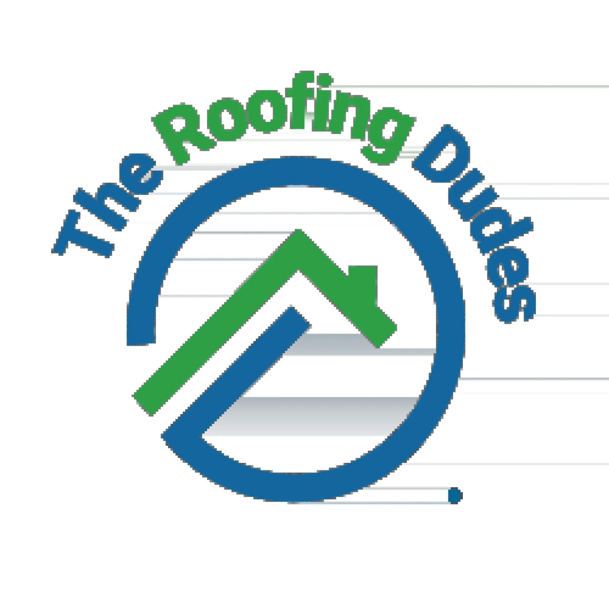 The Roofing Dudes