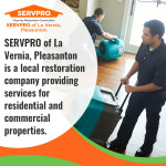 SERVRPO of La Vernia, Pleasanton 2 (ver 2).jpg