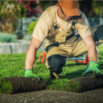 landscape construction (59).png