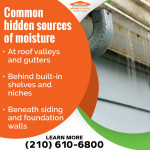 Hidden Sources of Moisture.jpg