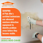 SERVPRO of Palo Alto Certified Technicians.jpg