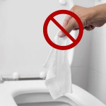 becarefulaboutwhatgetsflushed.jpg