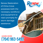 Renew Restoration 6.png