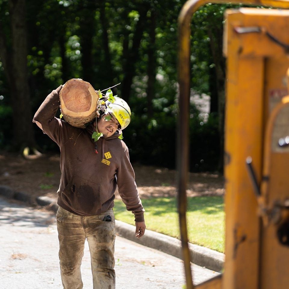 Man hauling wood