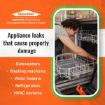 SERVPRO of Downtown Minneapolis_Team Bates & Hogan 1 (ver 2) (1).jpg
