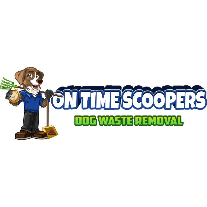 On Time Scoopers