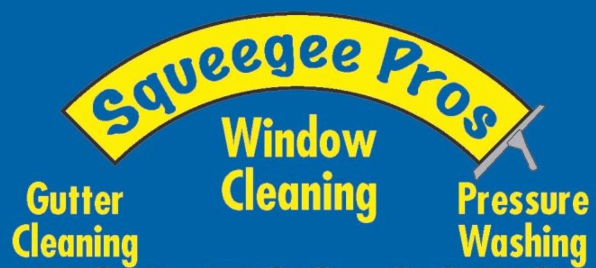 Squeegee Pros