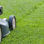 Should You Choose Weekly or Bi Weekly Lawn Care in Indianapolis for Optimal Lawn Health.jpg