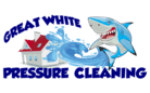 Great White Pressure Cleaning