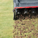 How Does Delayed Lawn Aeration Affect Root Development and Lawn Health in Indianapolis.jpg