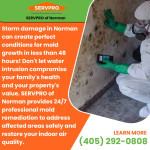 24 7 professional mold remediation (1).jpg
