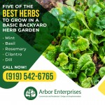 Arbot Enterprises 1 (1).jpg