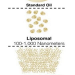 regular-oil-vs-liposomes-vs-llth.png