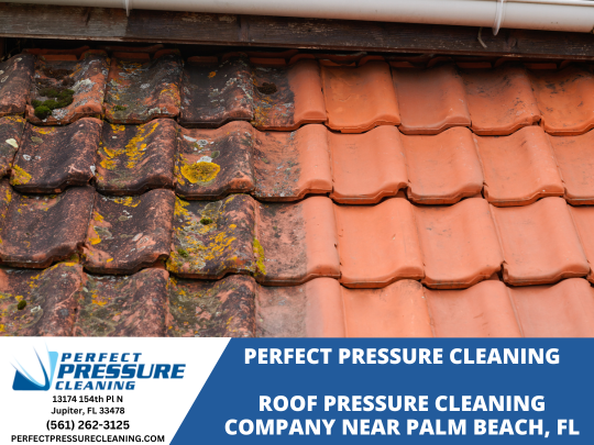 ROOF PRESSURE CLEANING SERVICES