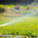 How Do Seasonal Changes in Humble, TX, Affect Sprinkler Head Performance and What You Need to Know for Sprinkler Repair.jpg