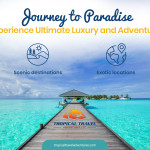 2025 Vacation Packages for Tropical Escapes.jpg