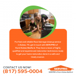 SERVPRO of HEB Graphic 4 (4).png
