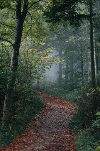 keyword analysis path