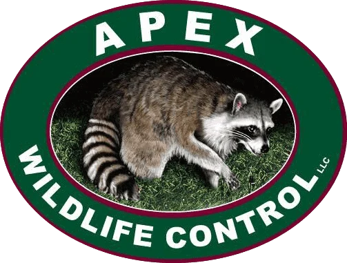 Apex Wildlife Control