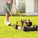 when to cut new sod.jpg