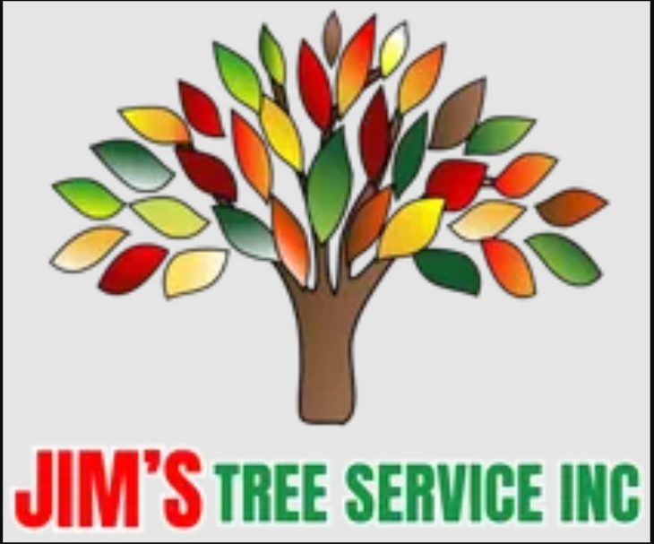 Tree Service in Hot Springs: How to Prepare Your Trees for Spring Storm Season