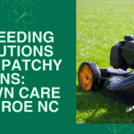 Reseeding Solutions