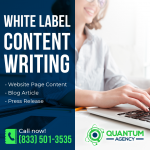 White Label Content Writing PR Image 3.png