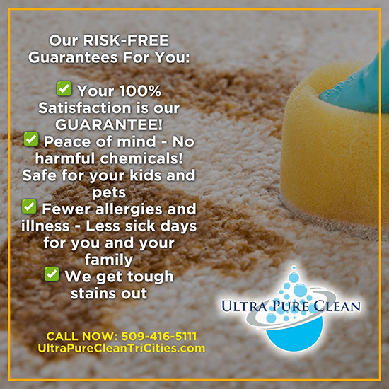 Go Green Professional Carpet Cleaners' EcoFriendly Solutions for a