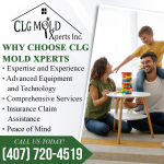 CLGMX-Why-Choose-CLG-Mold-Xperts.png