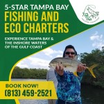 Fish-This-Inshore-Charters-Image-2.jpg