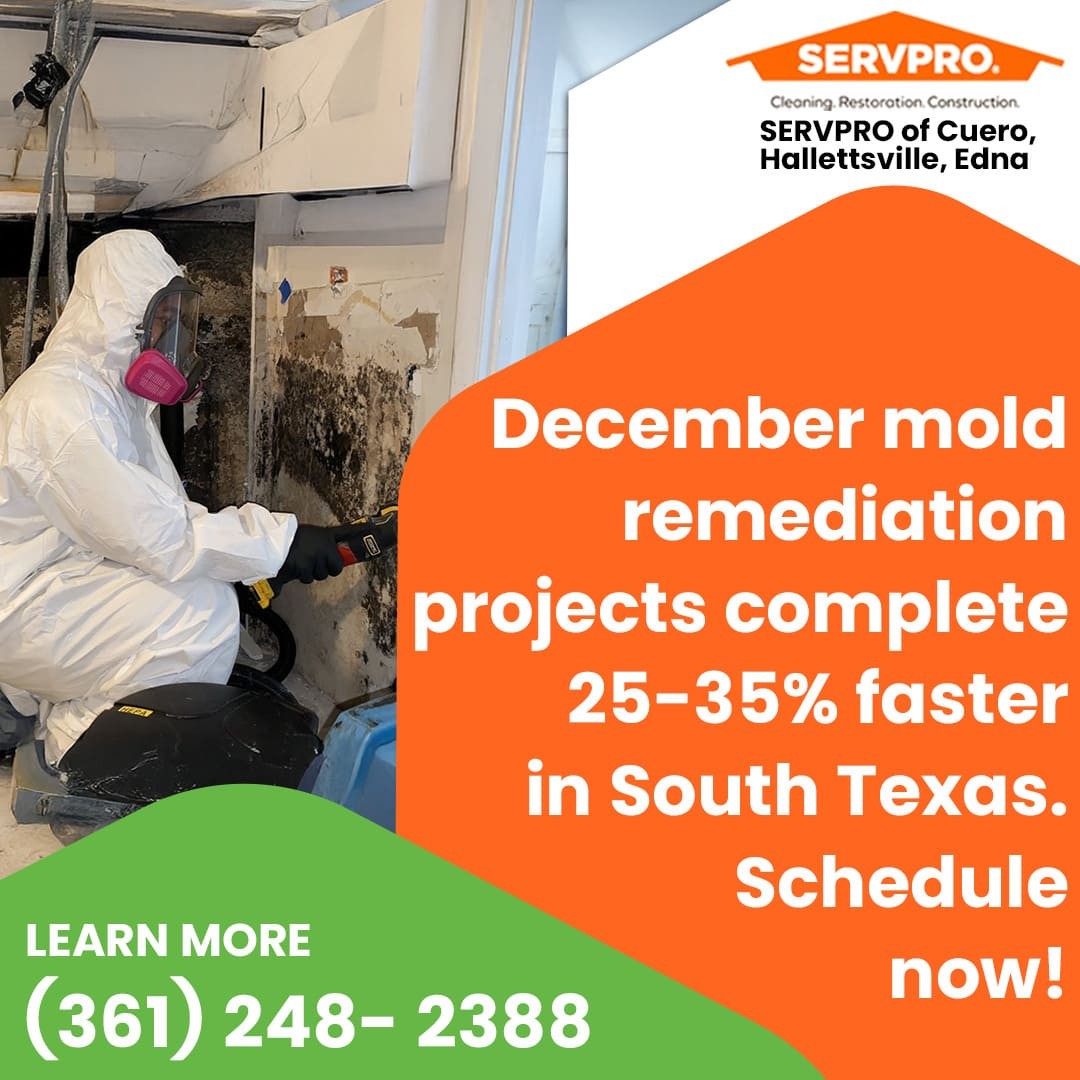 December mold remediation