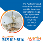 Austin Fire and Flood 2.png