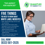 Quantum Agency PR Image 3.png